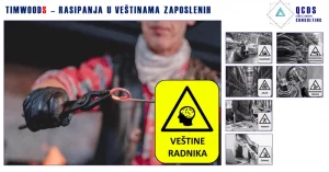 8 wastes, rasipanja u veštinama zaposlenih